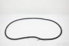 Bentley Continental Flying Spur 2006 Rear right door seal gasket